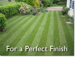 Perfect Finish for your Lawn